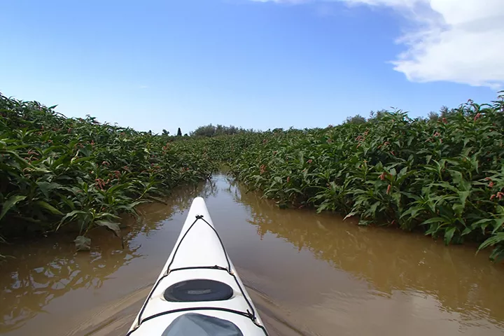 CLUB-BANCARIO-ROSARIO-CANOTAJE